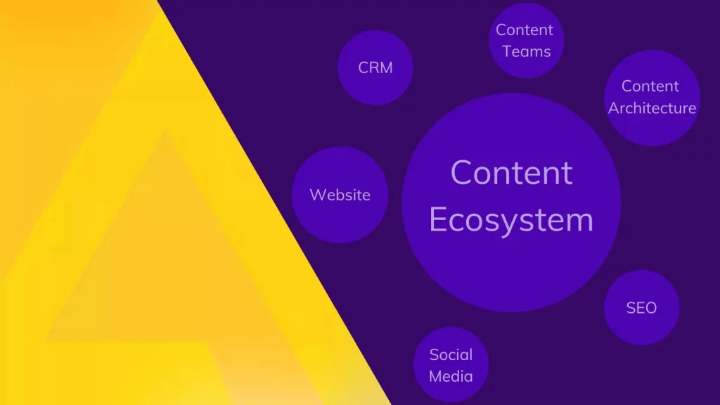 Implications for the Digital Content Ecosystem